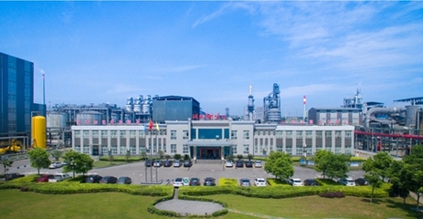 集团新闻