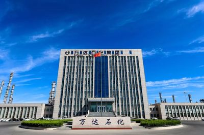 万达石化“蜕变”:全力打造高端石化产业集群
